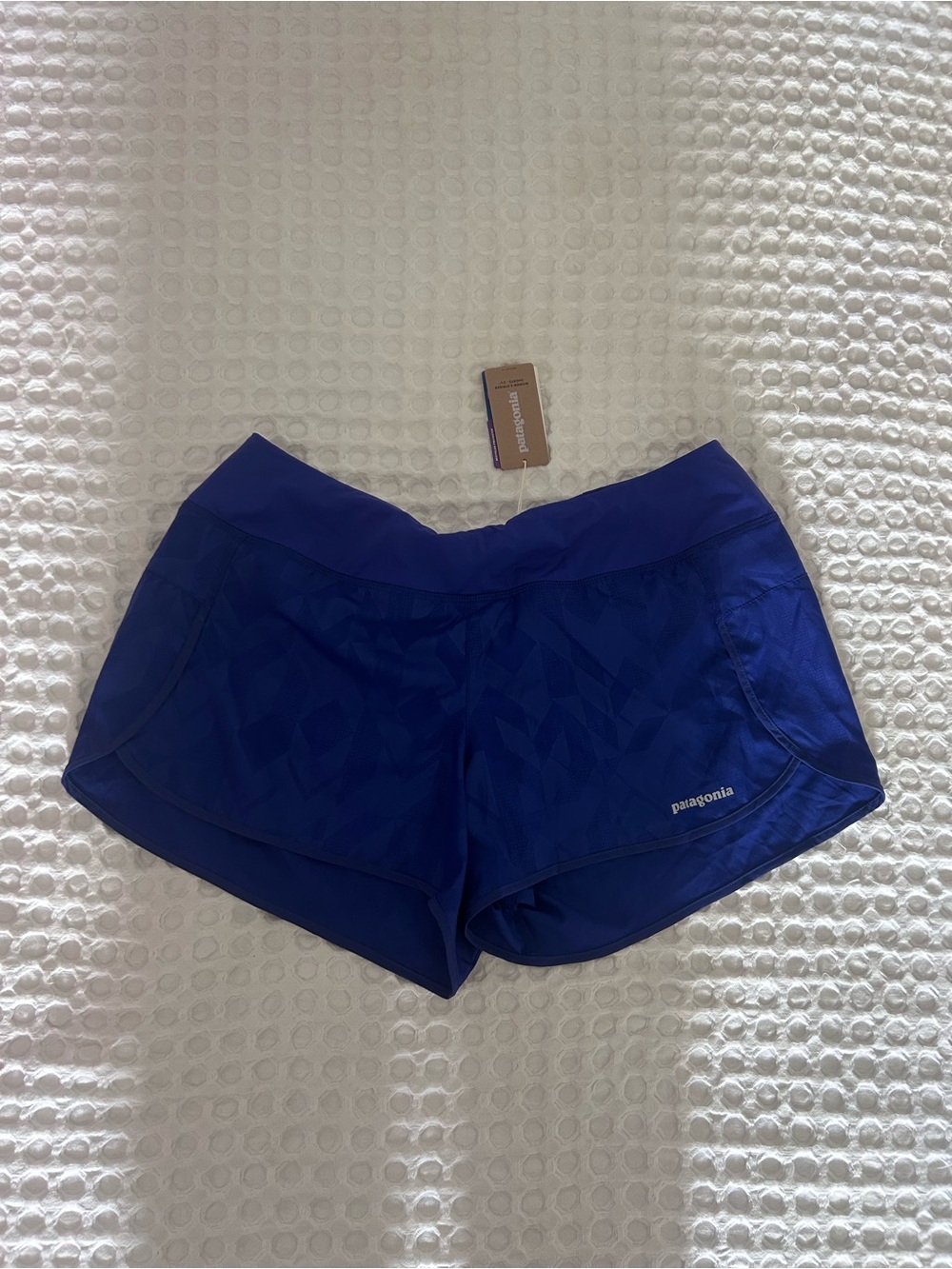 Patagonia Women's Royal Blue Athletic Shorts